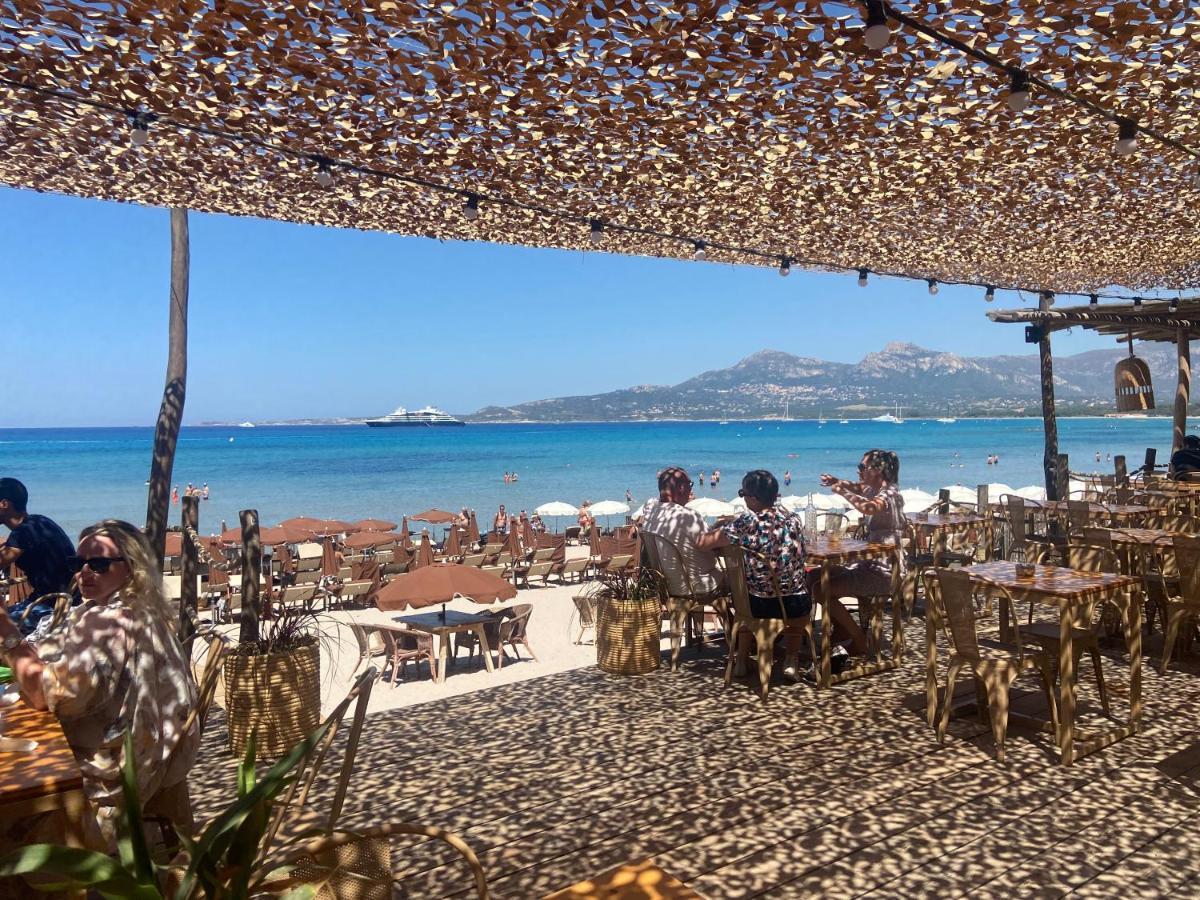 Corse Calvi Appt Cote Mer Екстериор снимка