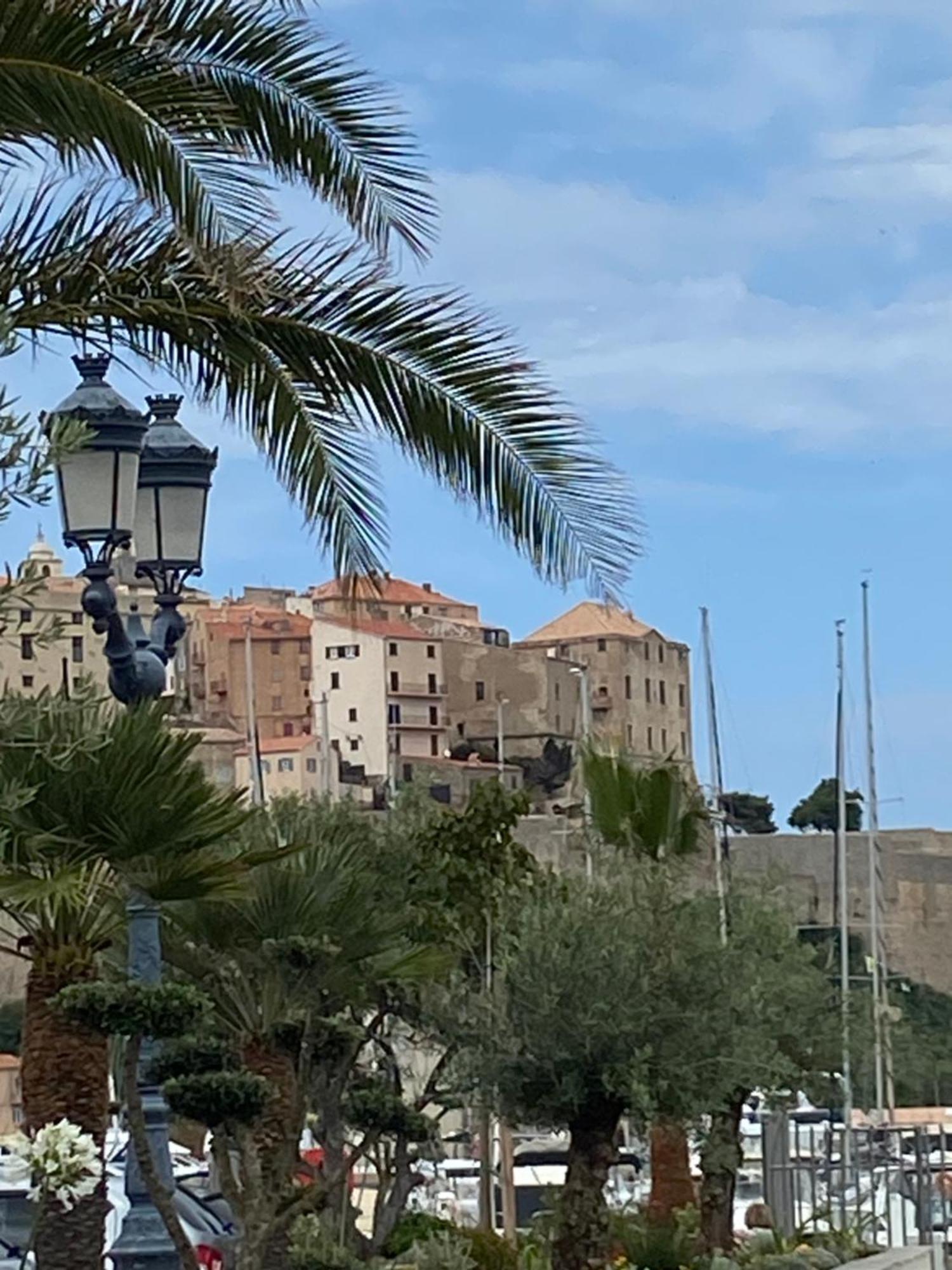 Corse Calvi Appt Cote Mer Екстериор снимка